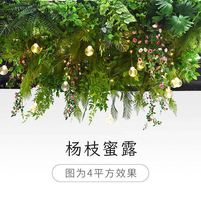 Yangzhi honeydew-average price per square meter