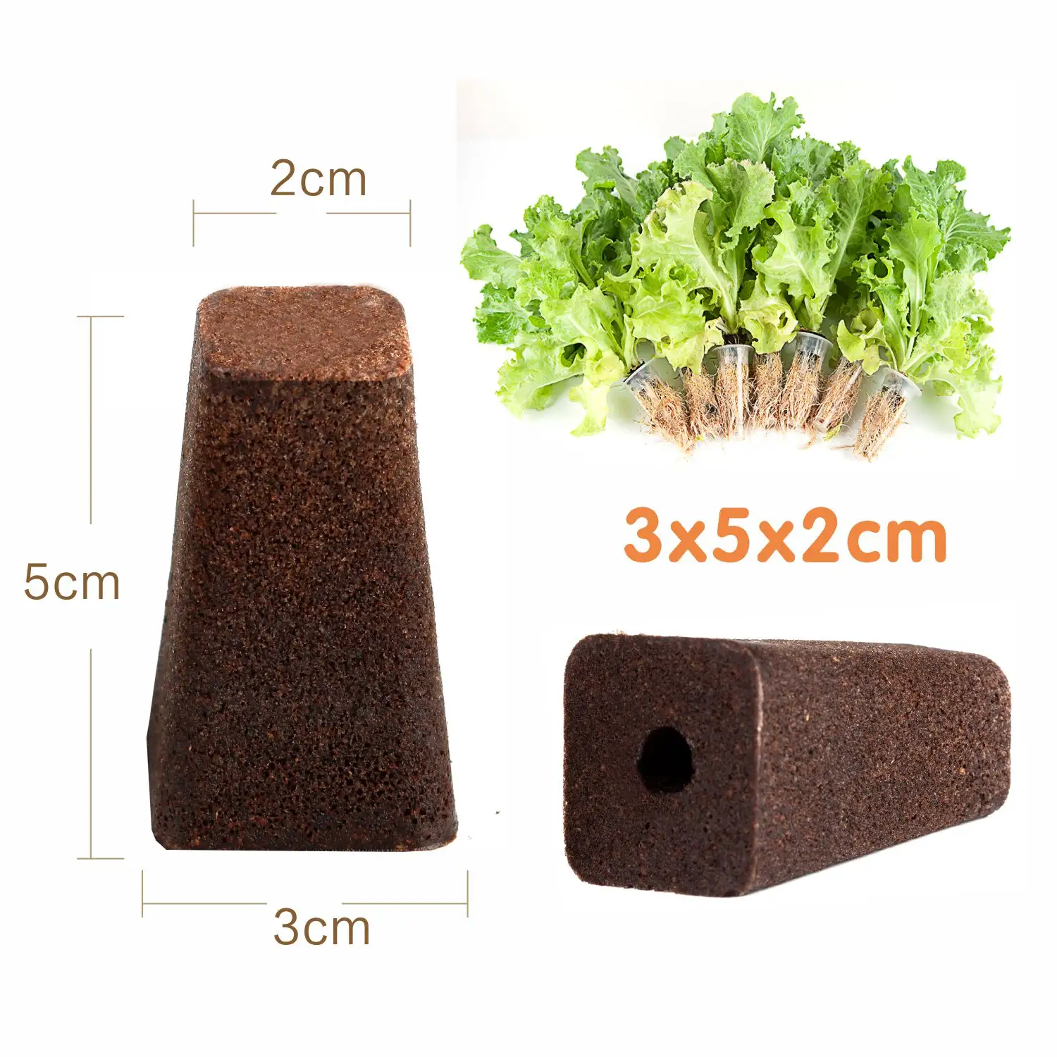 Spugna ad alta crescita da 5cm utilizzata nel sistema di coltivazione idroponica Coco Peat Block Plants Growing Soil Low for idoo