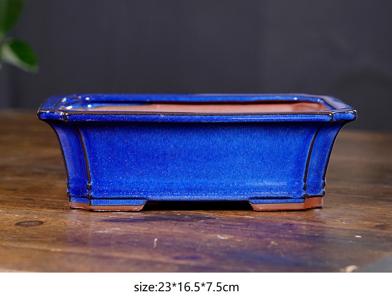 bleu 1 grande taille