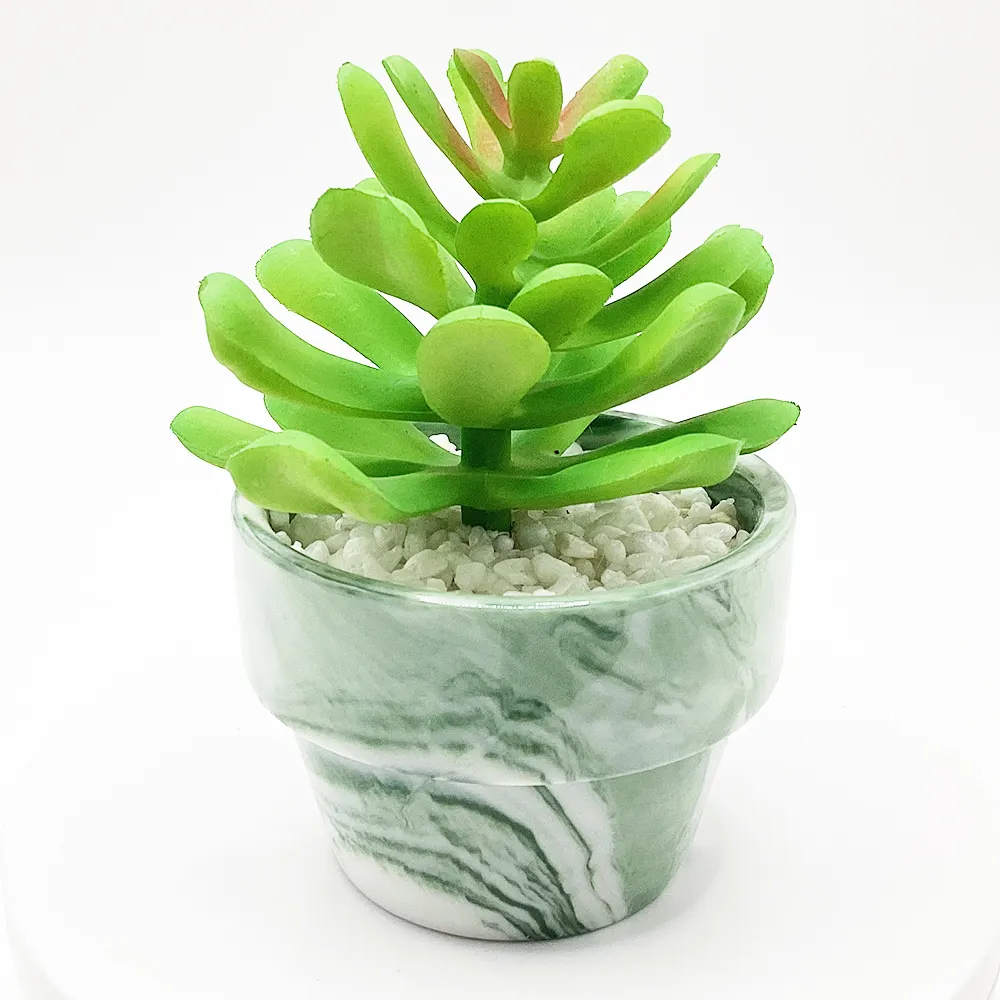 Piante In finta plastica JF Mini succulente artificiale In vaso di ceramica bianca Amazon Top Seller decorazioni per la tavola di nozze di compleanno