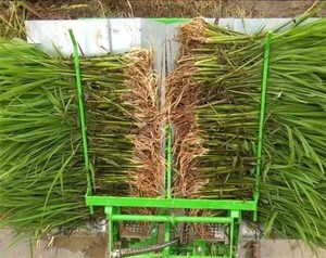 เครื่องปลูกข้าว2แถว,เครื่องปลูกข้าวเปลือกขนาดเล็กด้วยมือ - Product Image 6