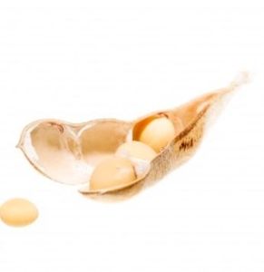 Kem dưỡng ẩm mặt vàng lá vàng chứa Hyaluronic Acid, nha đam, collagen, dưỡng chất, làm săn chắc da dành cho người lớn, sử dụng tại nhà - Product Image 4