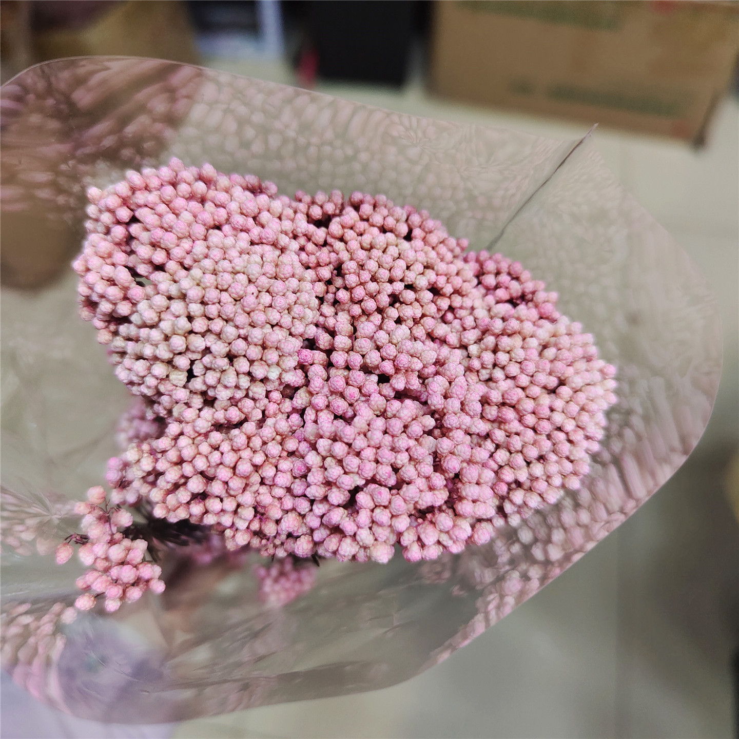 Gradiente rosa e bianco non sbiancato