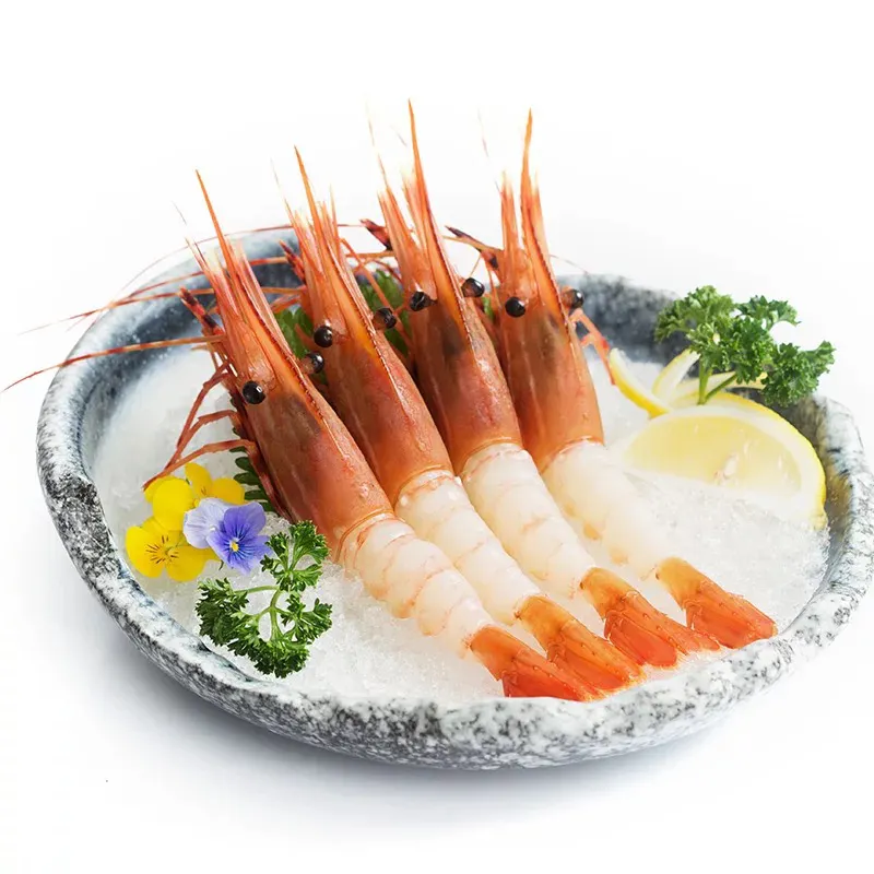 Yüksek kaliteli japon restoran tabakları Sashimi Soba suşi seramik tabak