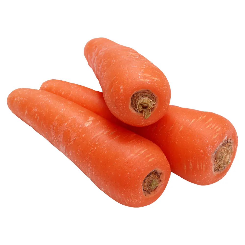 Tanaman baru Tiongkok wortel merah segar dan bersih air dicuci wortel sayuran segar untuk ekspor