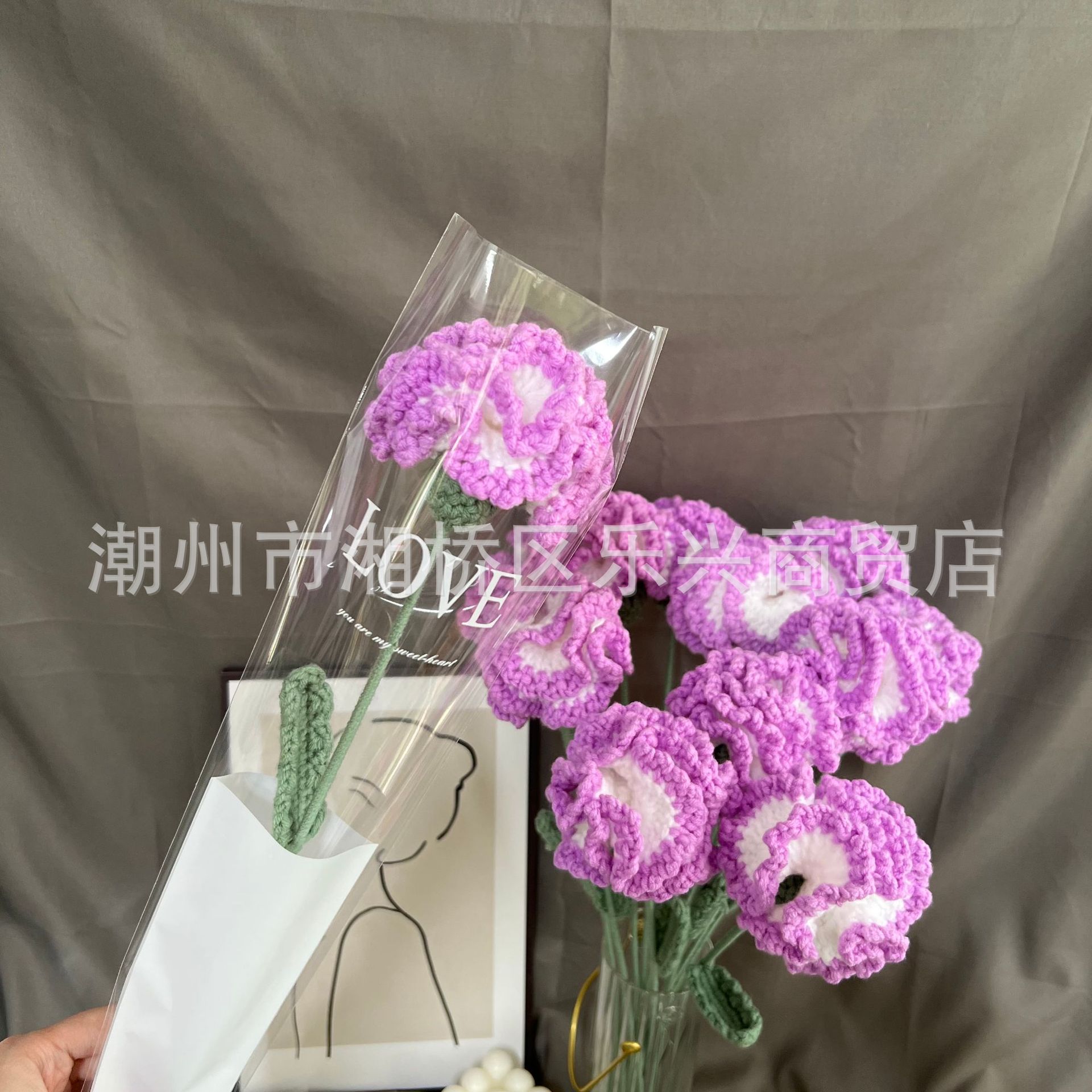 Carnation gradient purple color