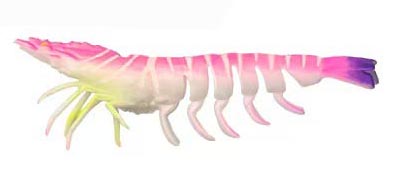 8#