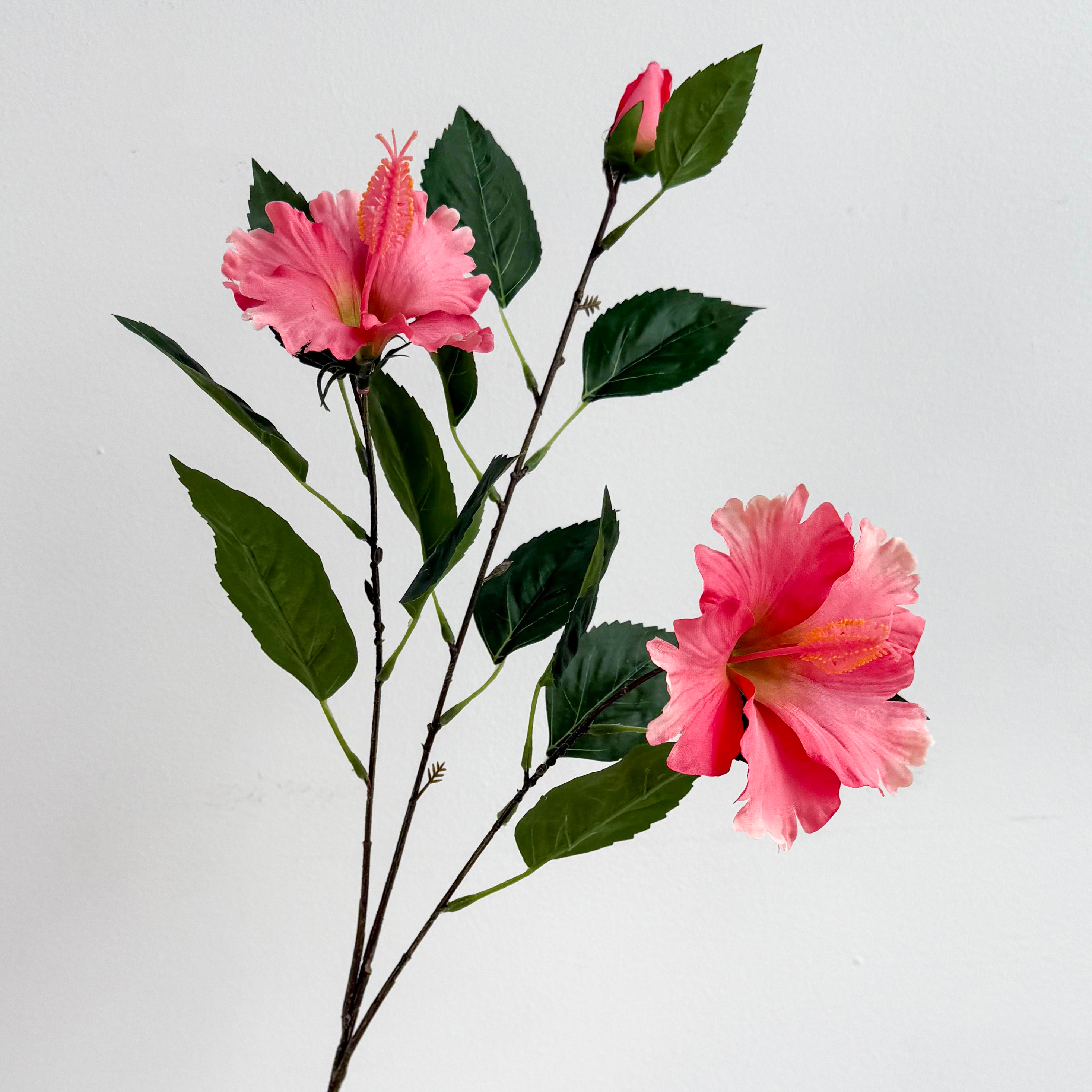 rose foncé