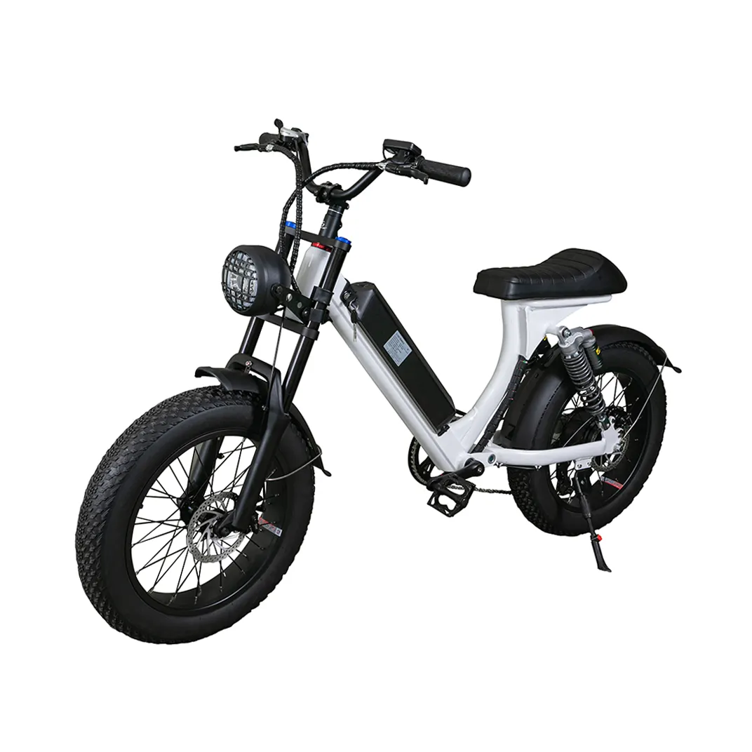 48v15.6ah lithium battery super powered 48v 500w HP-E 73 two seat ebike / fat tire 2 seater electric bike with foot