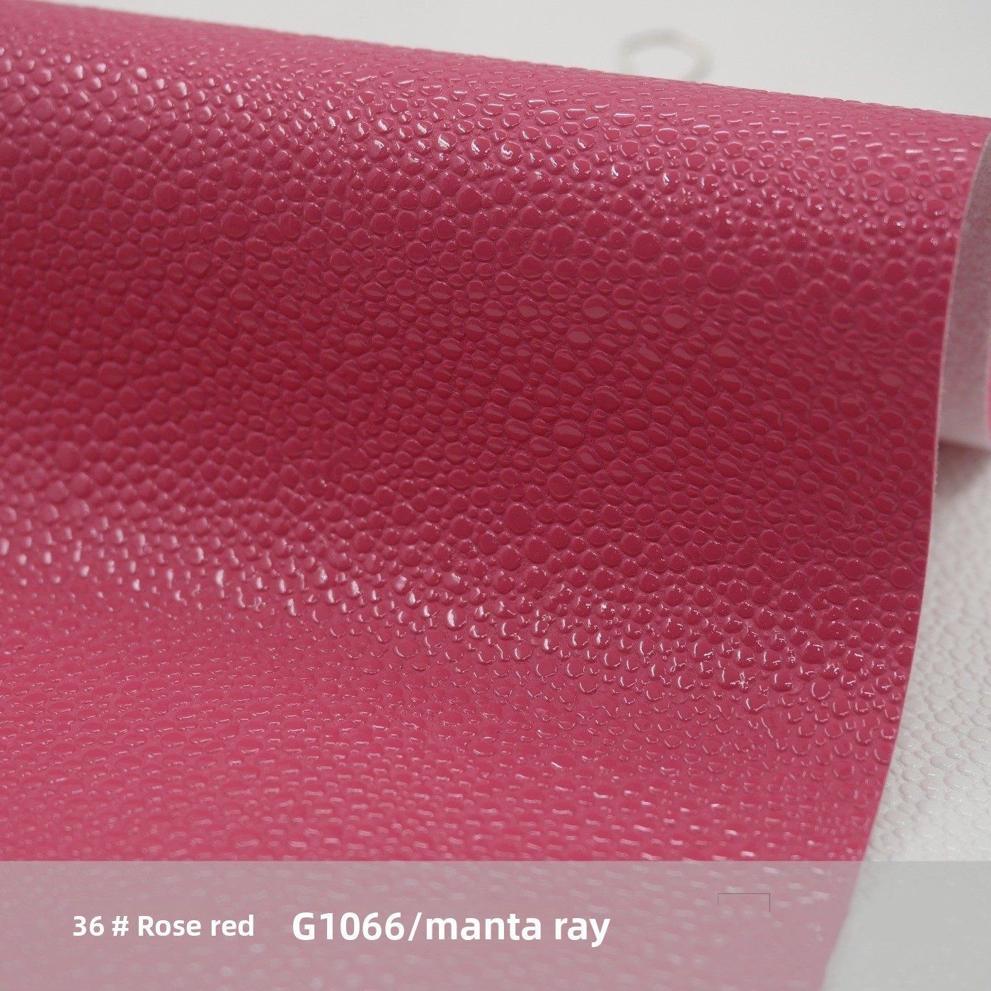 36 rose red-code