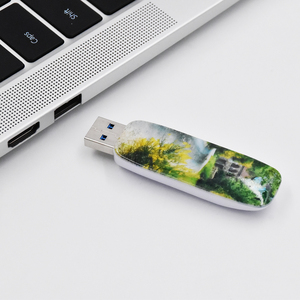 高速usb 3.0全彩定制印刷塑料Pendrive 8GB至128GB u盘全新独特设计