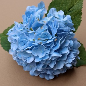 High Quality Artificial <strong>Hydrangea</strong> Flowers White <strong>Hydrangea</strong> Blue Real Touch <strong>Hydrangea</strong> for Decoration - Product Image 2