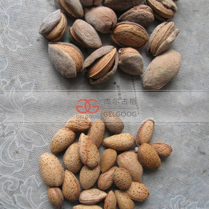 工业山核桃松子硬壳去除Badam杏仁脱壳脱壳机打破坚果 - Product Image 3