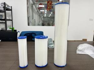 20 Mincron 10 Zoll Wasser reinigung Schwimmbad SPA Wasserfilter patrone mit Netz