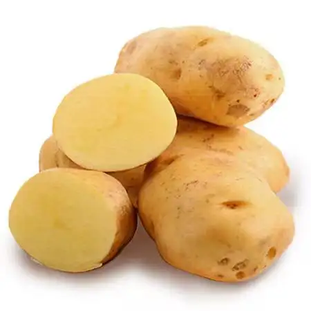 Tanaman baru sayuran organik segar grosir kentang Harga dalam jumlah besar