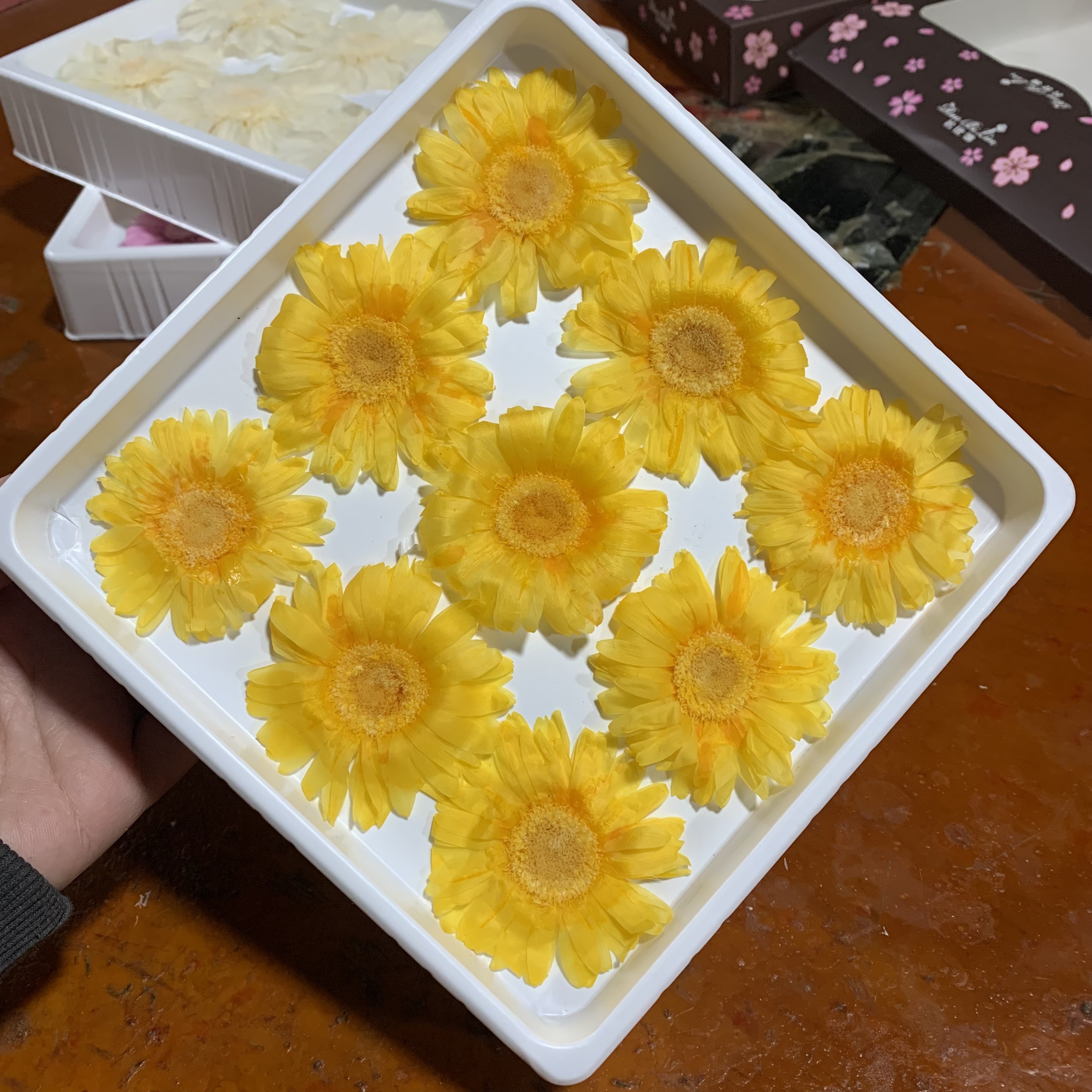 Light Yellow