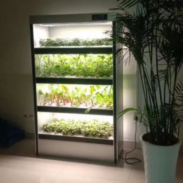 Sistema de hidroponia para Frutas Legumes Sistema Aquaponic Crescente Automatizado de Efeito Estufa Levou Crescer Luzes com Tanque De Peixes