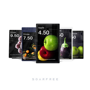 SOARFREE 10.1 Inch Full Color <strong>LCD</strong> Digital Signage Price Tags <strong>Display</strong> With Double Screen for Media <strong>Display</strong> Use - Product Image 6