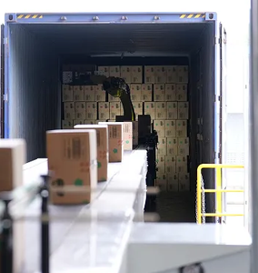 Robot industriale completamente automatico per il carico e lo scarico del camion di raccolta del cartone del magazzino che paletta le scatole di AGV