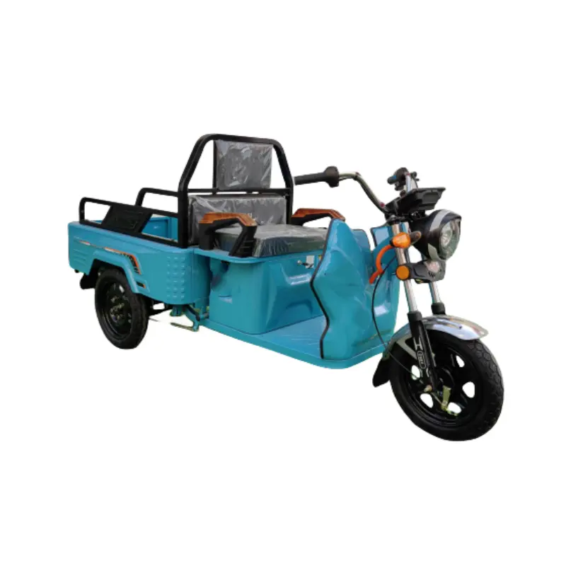 電動カーゴバイクロード耐久性のある強力なパワー電動三輪車貨物