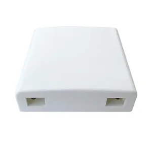 タイプ86 FTTHファイバーパネル情報パネルダブルポートSC/APCパネルボックスオープンマウント - Product Image 1
