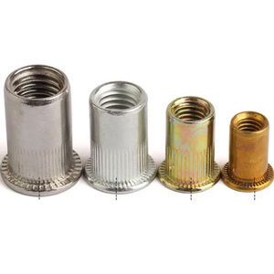 Brass Blind <strong>Rivet</strong> Hex Coupling <strong>Nut</strong> M6 <strong>M16</strong> 10mm <strong>Rivet</strong> Self Threading Panel <strong>Nut</strong> Cordless Custom Direct Selling Stainless Steel DIN