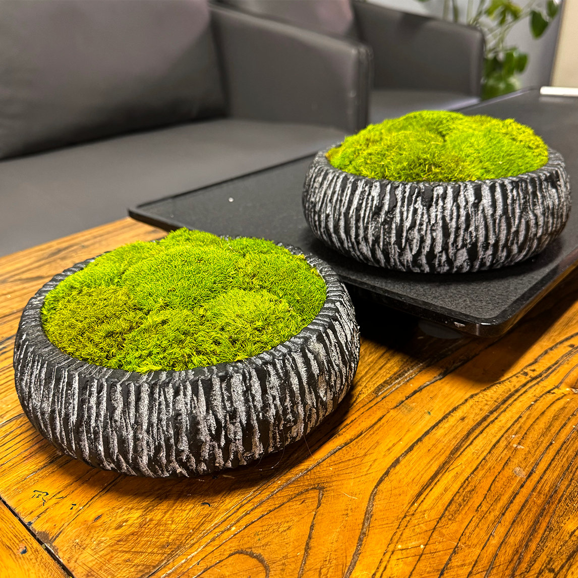 Art de la mousse en bois