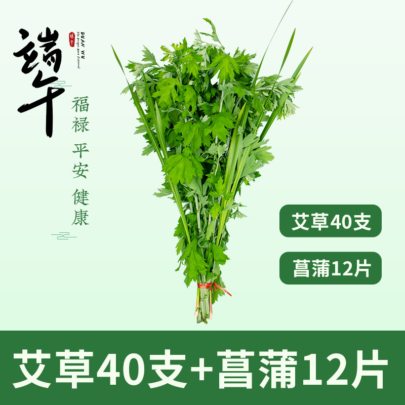 40 tiges de mugwort fraîches et 12 feuilles de calamus (2 bottes)