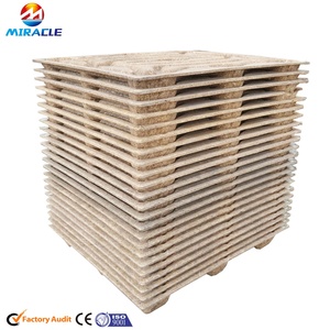 木材处理机木材熏蒸托盘，免熏蒸托盘制造机 - Product Image 3