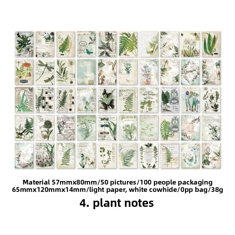 Notas de la planta D