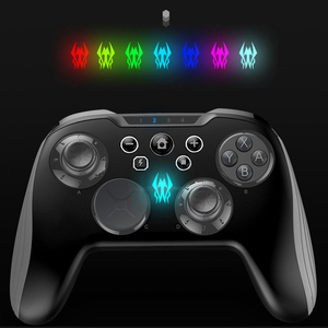 Controller gamepad joystick wireless Premium per computer Nintendo switch pro con pulsanti posteriori programmabili