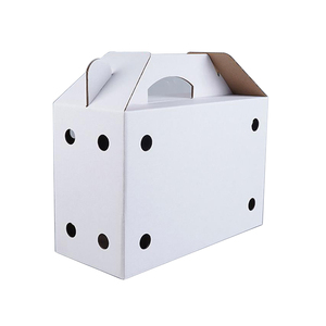 定制设计纸板活小鸡鸟运输箱日龄小鸡运输箱带手柄 - Product Image 1