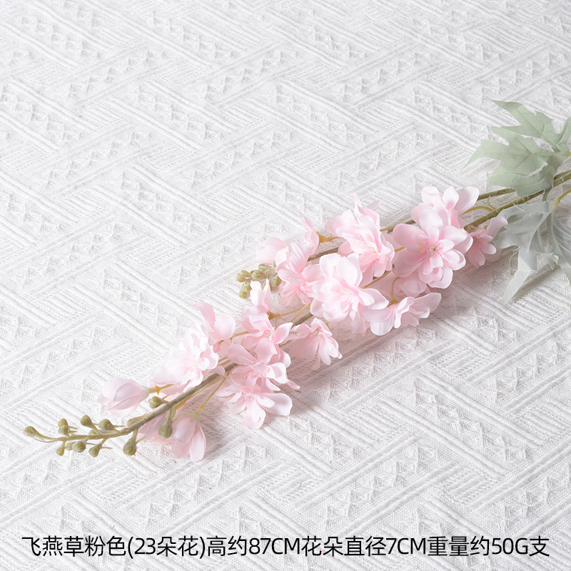 Delphinium rosa