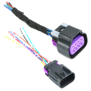 Cable a Cable Delphi para Faro Delantero, Cable Eléctrico Impermeable para Coche, Conector de Interruptor de Freno de Parque de 8 Pines, 1 Ud, 1 Ud - Product Image 2
