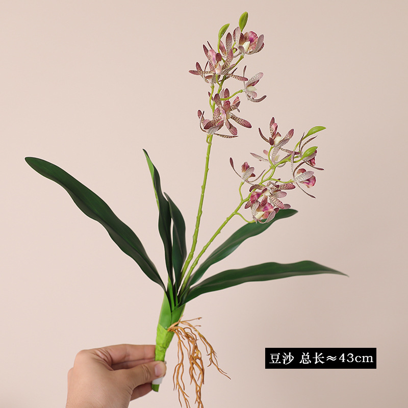 Pâte de haricots orchidée parfumée