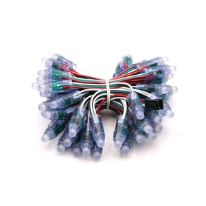 WS2811 IC 5V 12MM luces de cadena a todo Color direccionables individualmente DMX RGB LED impermeable para decoración Navidad Halloween - Product Image 1