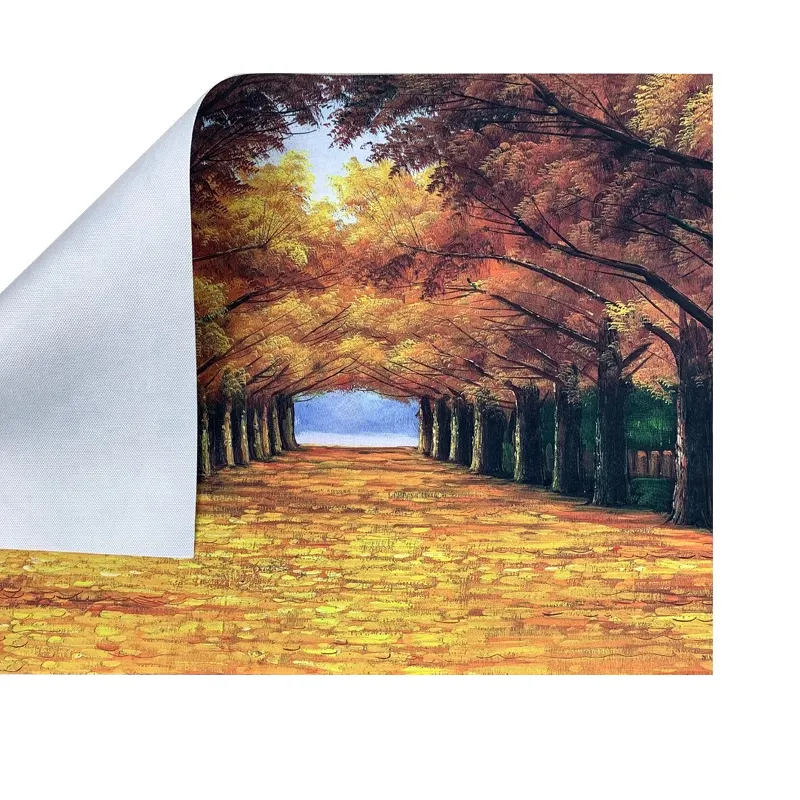 Custom Picture Canvas ou Paper Art Wall Poster Printing para fotógrafos e artistas