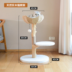 Luxury Cat Climbing Tree <strong>Sisal</strong> Scratching Post Cat Nest Natural Fruit Tree <strong>Trunk</strong> - Product Image 2