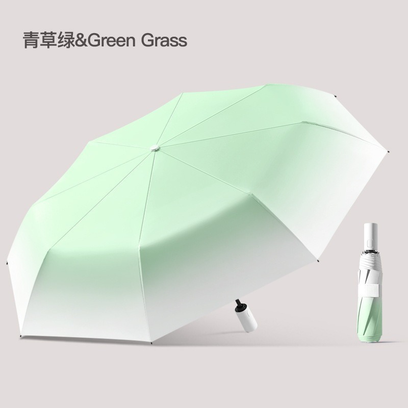 Gradient mint green auto 16 bone