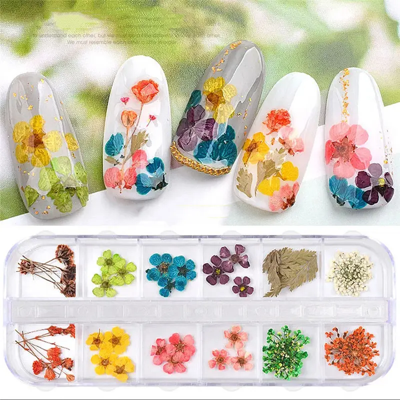 Real de uñas de flores secas de decoración del arte del clavo de DIY consejos flores pequeñas uñas pegatinas para manicura herramientas