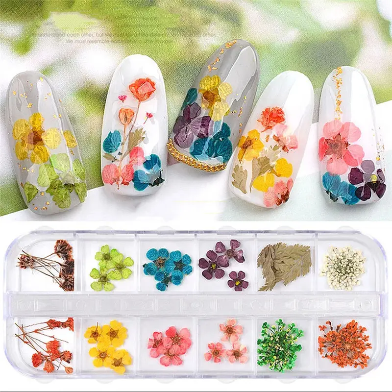 Chiodo reale Del Merletto Fiori Secchi Foglia di Decorazione di Arte Del Chiodo Punte FAI DA TE Piccoli Fiori Unghie Adesivi Per Strumenti per Manicure