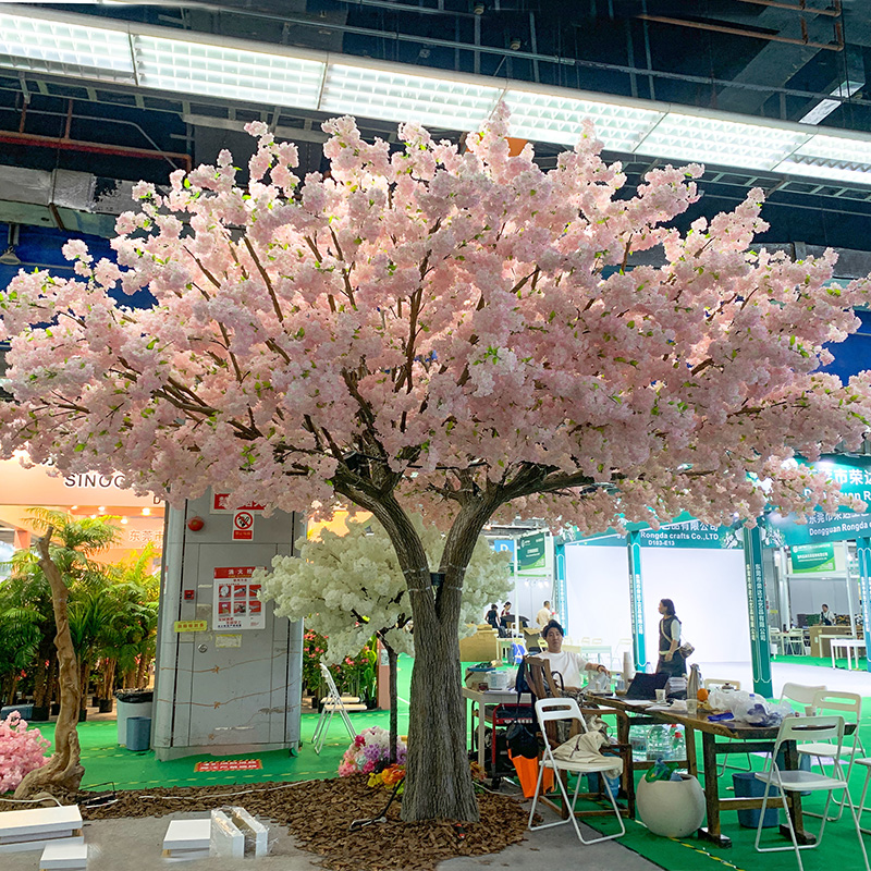 pink cherry blossom tree