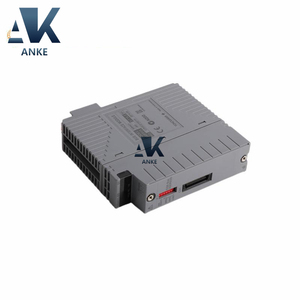 Módulo esclavo de interfaz de bus S2 Yokogawa ESB de 1/2" - Product Image 2