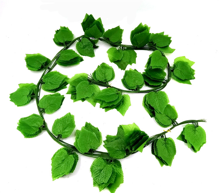 LV05 verde