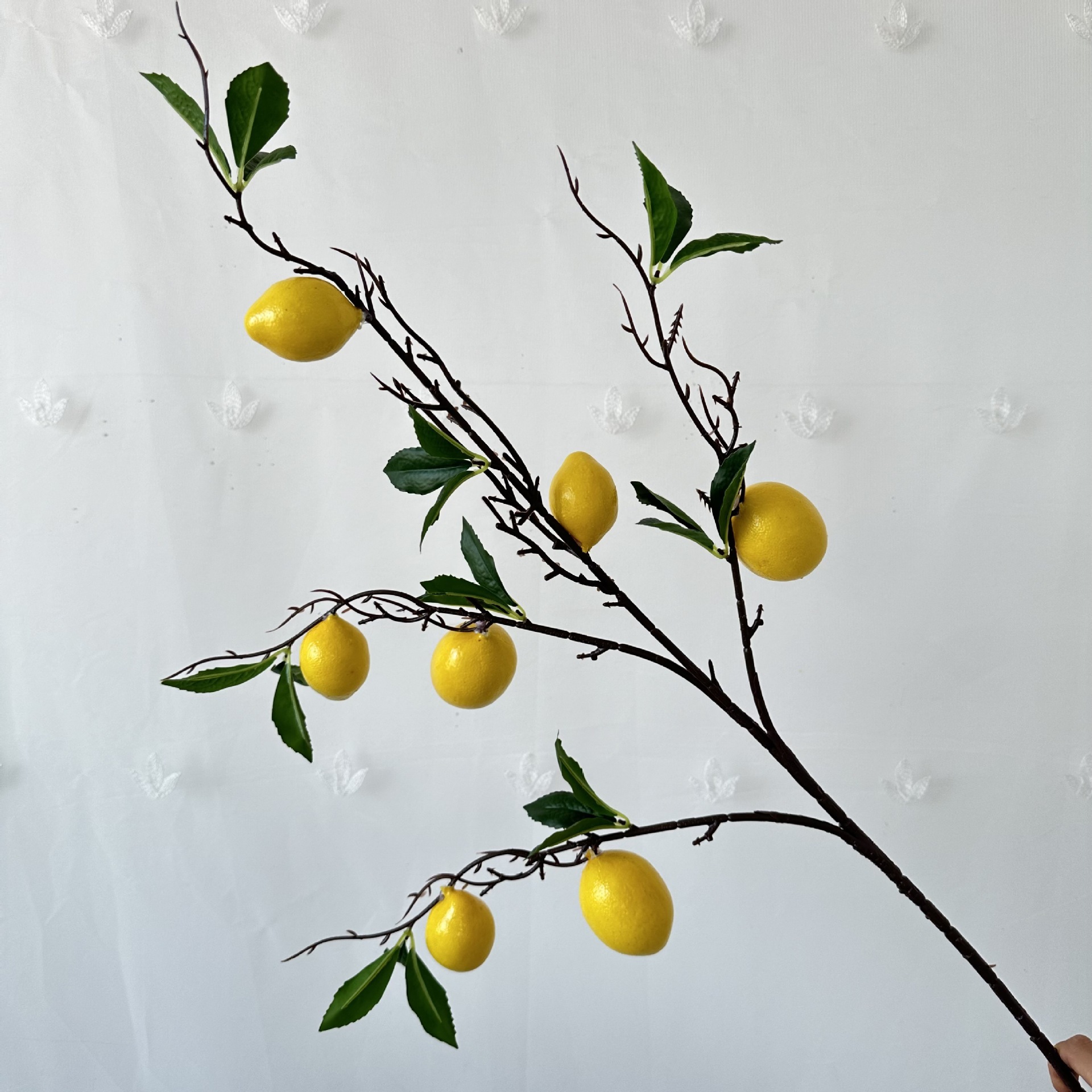 limón