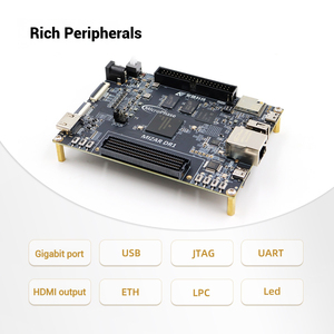 Micro phase Mizar-DR1 FPGA-Entwicklungs platine Flying Dragon DR1M90G Dual-Core für ARM ZYNQ Soc Kit
