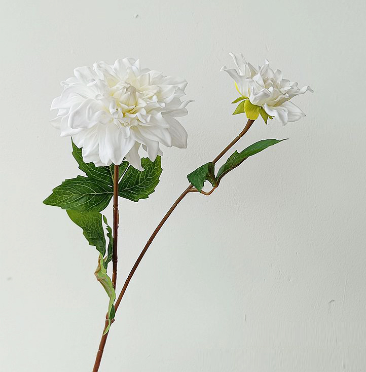 Blanc