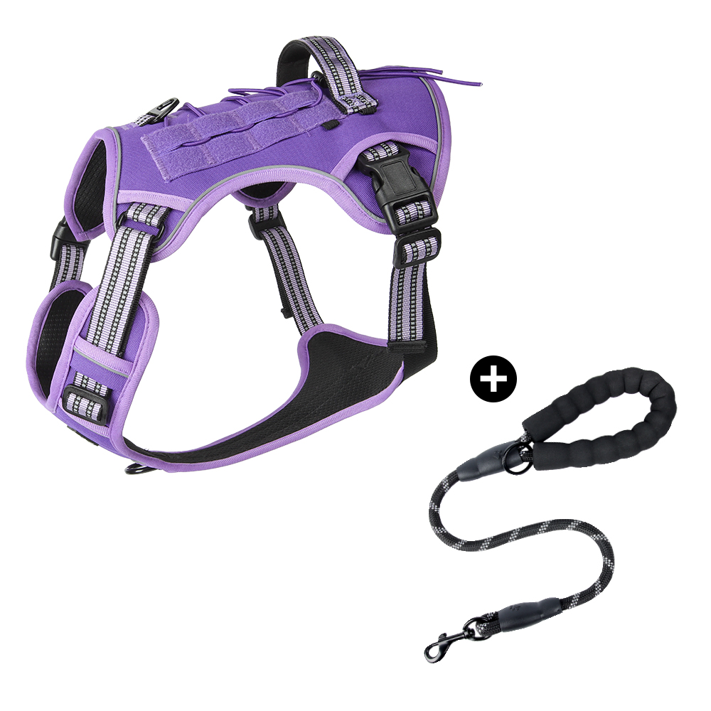 Purple4