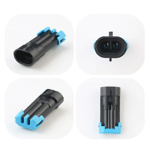 Fábrica de Sensor de temperatura de 2 pines/21 Delphi Automotive Conector impermeable Enchufe macho y hembra - Product Image 6