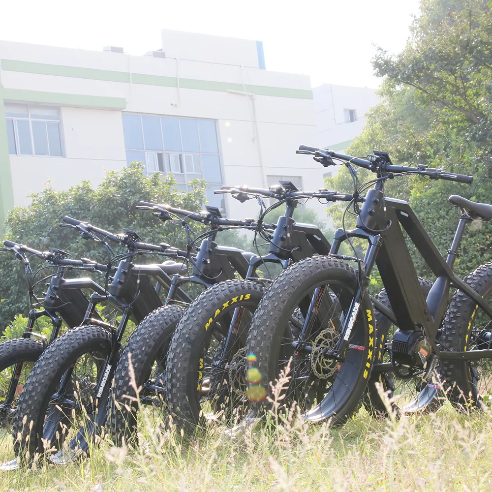 2024 Bafang G510 전기 자전거 미드 엔진 2 배터리 체인 드라이브 팻 타이어 Ebike 1000w